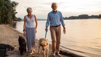 Risk Factors for Alzheimers Disease