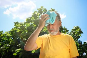 Rising Temperatures and Brain Health:<br></noscript>10 Ways to Stay Safe in the Heat